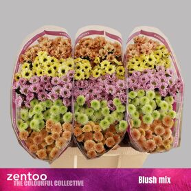 Chr S Gem Blushmix