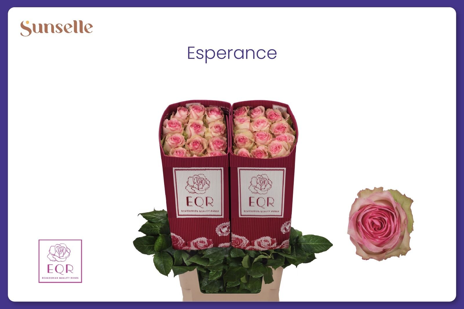 R Gr Eq Esperance