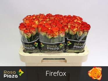 R Gr Firefox