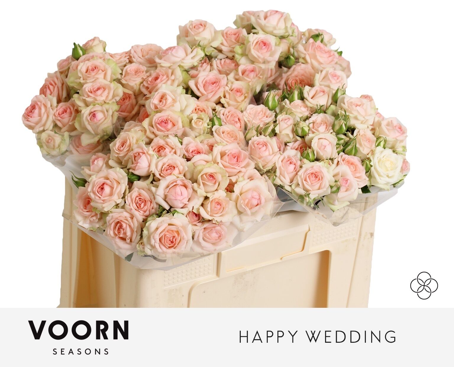 R Tr Happy Wedding
