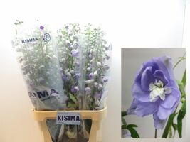 Delph Du Mag Fountain L.