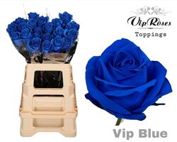 R Gr Blauw