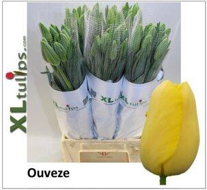 Tu Frankrijk En Ouveze