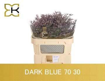 Lim Saf Dark Blue