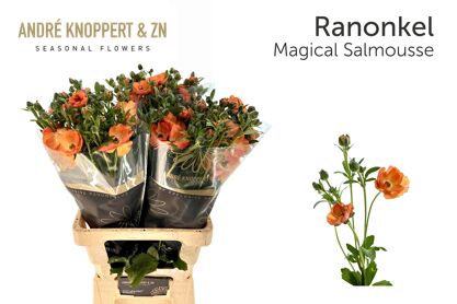 Ran Co Mag Salmousse