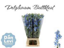 Delph En Ballkleid