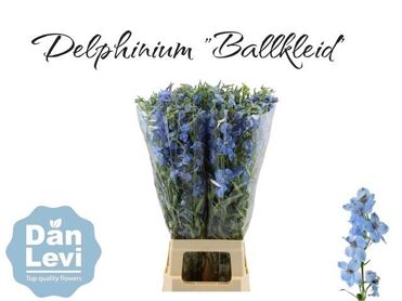 Delph En Ballkleid