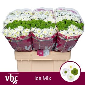 Chr S Gem Icemix