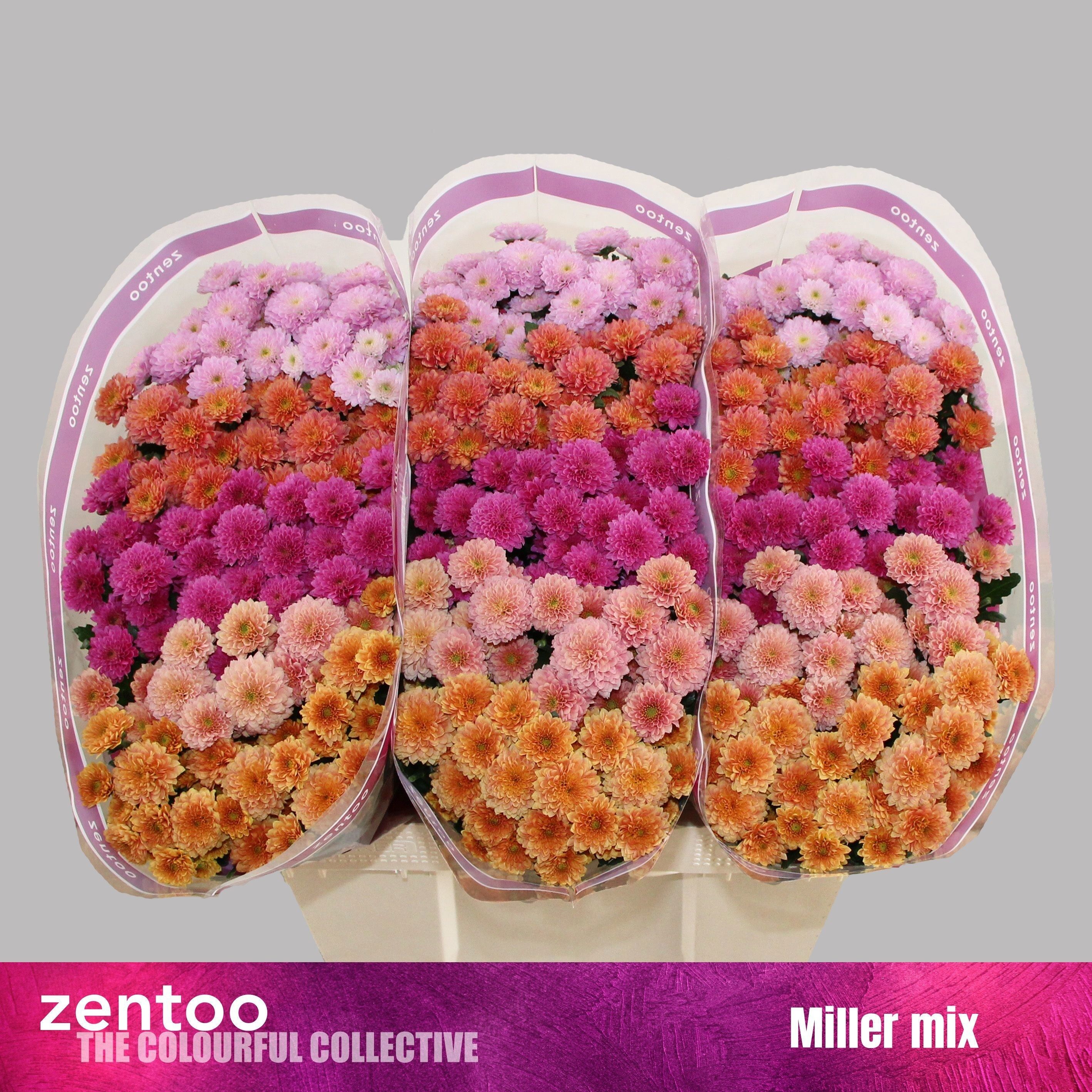 Chr S Mix Miller