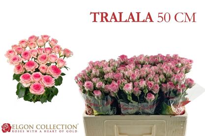 R Tr Tralala