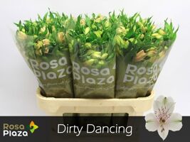 Alstr Dirty Dancing