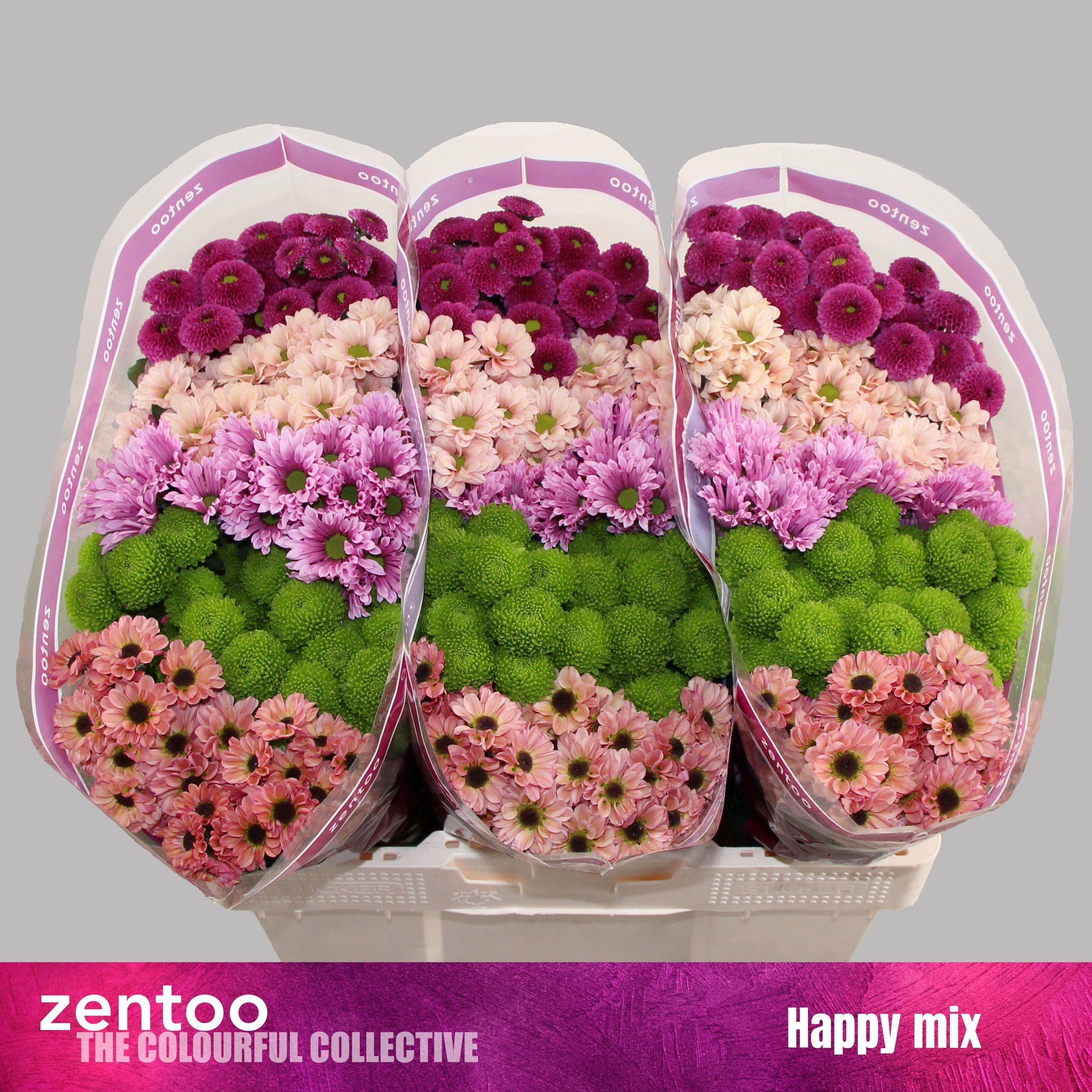 Chr S Mix Happy