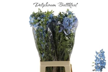 Delph En Ballkleid
