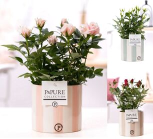 Ro Bm Gemengd Keramiek Eline