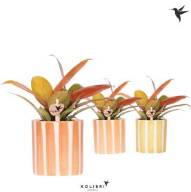 Phil Cherry Red Keramiek Painted Stripe