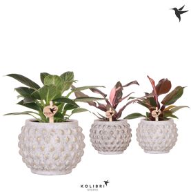 Phil Gemengd Keramiek Marrakesh