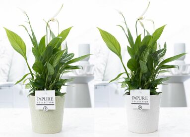 Spath Overig Keramiek Juliette