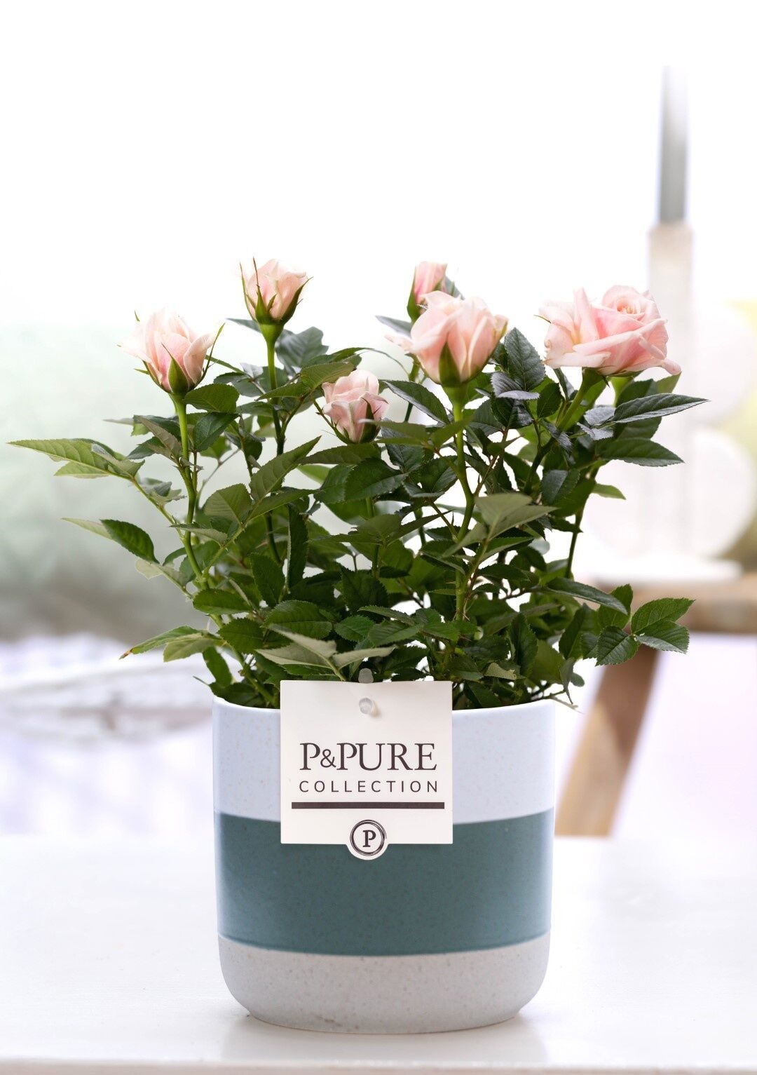 Ro Bm Licht Roze Keramiek Lauren