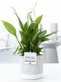 Spath Overig Keramiek Jade