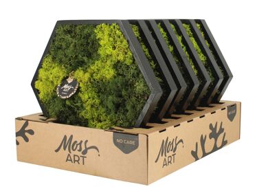 Wall Art Moss D38 90780