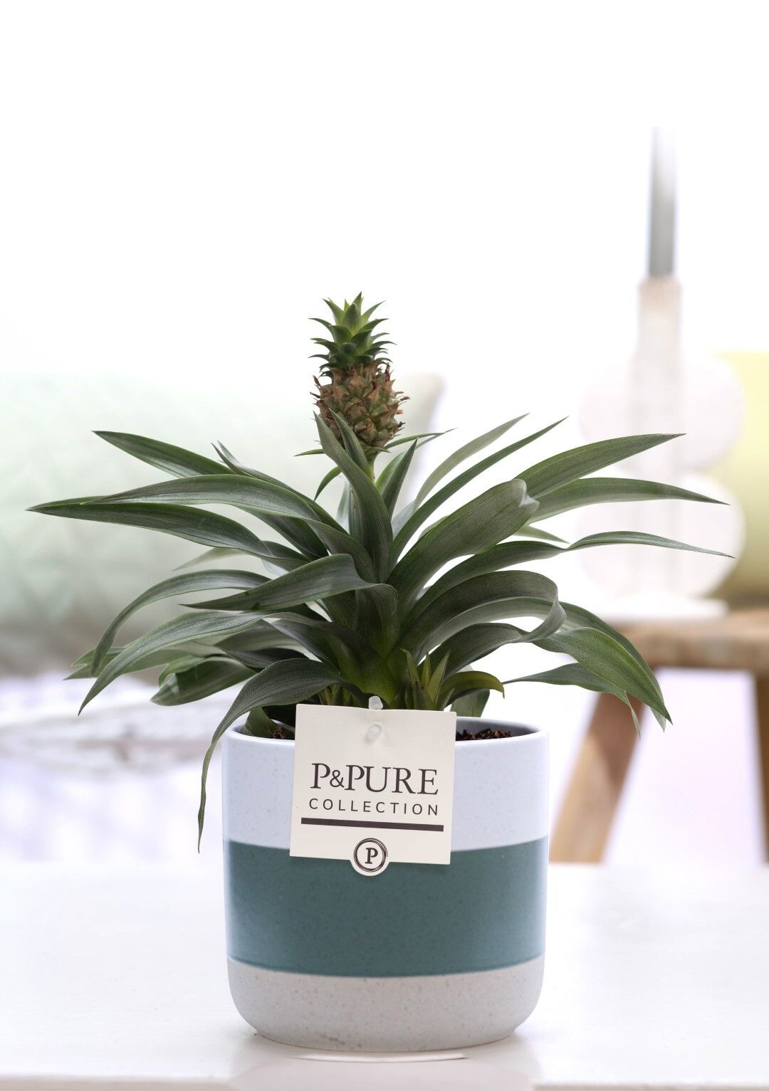 Ananas Mi Rosita Keramiek Lauren
