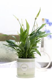 Spath Overig Keramiek Go Green