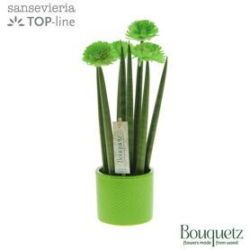 Sans Cyl Bouquetz Green Keramiek Dots