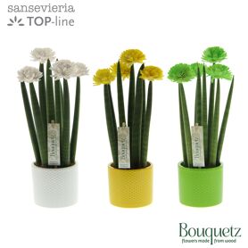 Sans Cyl Bouquetz Colourfull Easter Keramiek Dots