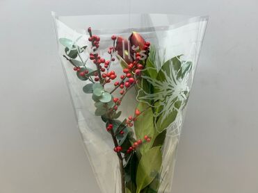 Boeket Amaryllis + Ilex Rood