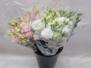 Mono Lisianthus Alissa Ass X10