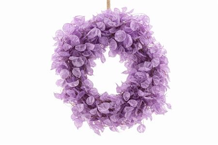 Wr Dried Lunaria Milka 40cm