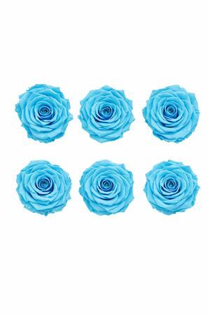 Ro Pres Classic Cyan