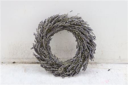 Wr Dried Lavendel 30cm