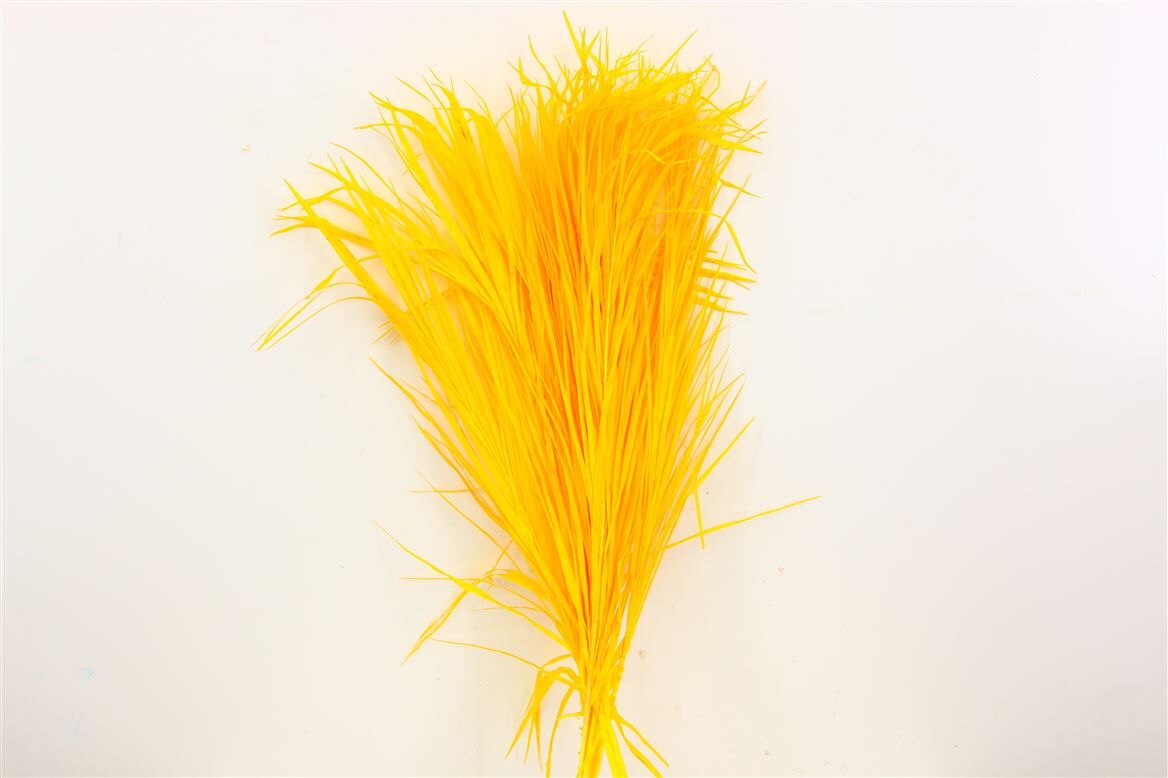 Pres Phoenix 10pc Yellow Bunch