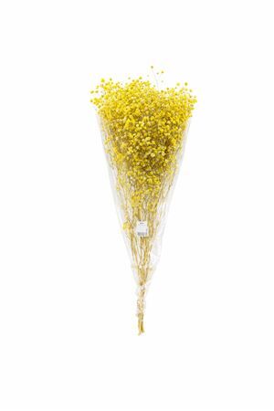 Pres Gyps Yellow Bunch