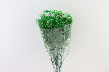 Pres Gyps Green Bunch Slv