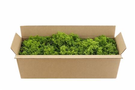 Mos Reindeer Moss Green 500gr