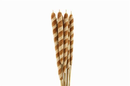 Dried Typha Tigre 10pc Bunch
