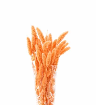 Dried Setaria Salmon Bunch