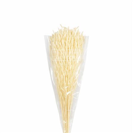Dried Rice Grass Bleached Bunch