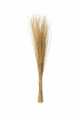 Dried Natural Bunch 100cm