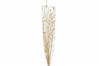 Dried Centaurea Natural Bunch Slv