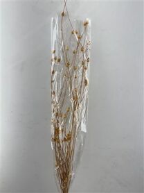 Dried Centaurea Natural Bunch Slv
