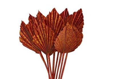 Dried Artz Palm Spear 10pc Picasso Bunch