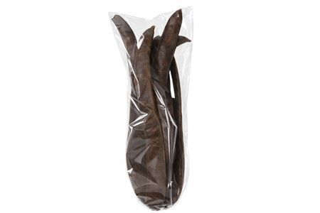 Giant Bean 6 Bundle