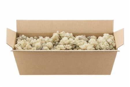 Mos Reindeer Moss Natural 450gr