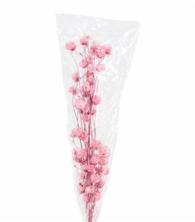 Dried Bougainvillea Pink Bunch