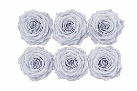 Ro Pres Classic Grey