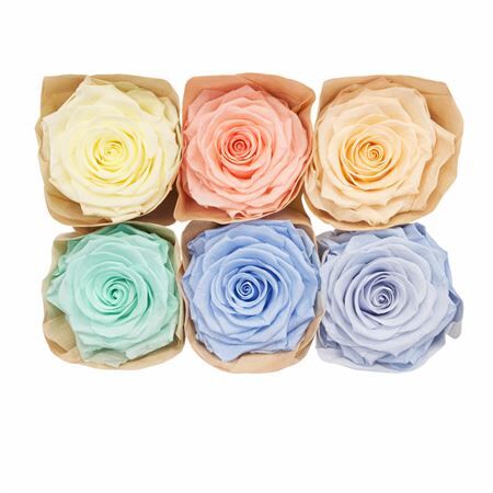 Ro Pres Classic Mix Pastel