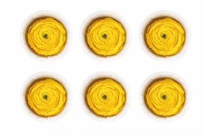 Ran Pres Yellow